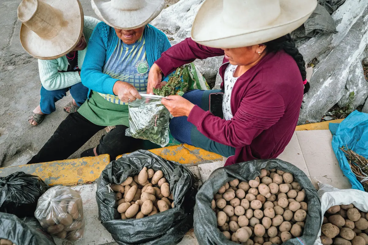 Mujeres vendiendo papas y hierbas en un mercado